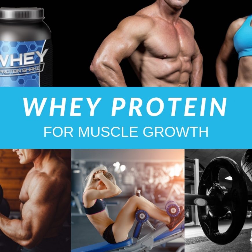 WHEY PROTEIN FOR MUSCLE GROWTH